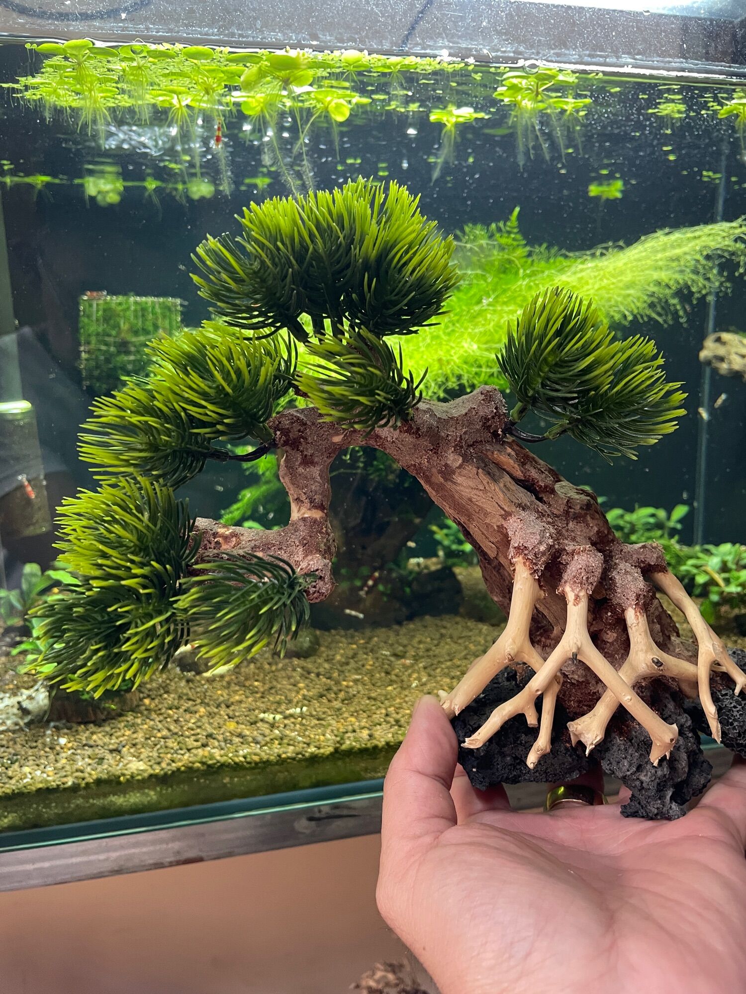 Lũa bonsai gắn lá nhựa kích thước cao 15 cm dài 20 cm