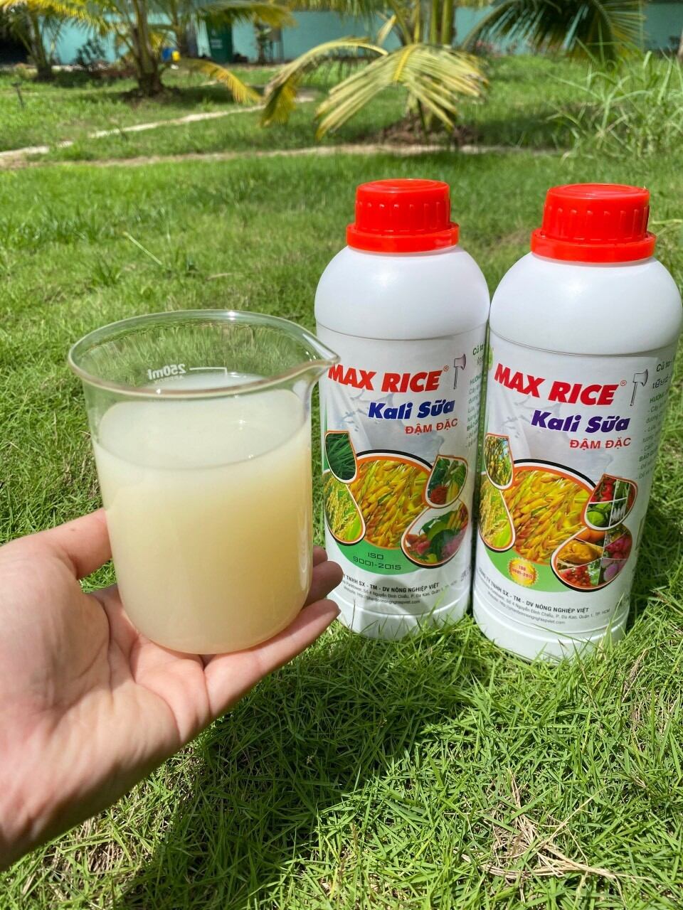 Max rice - kali sữa 1 lít - phân bón nnv