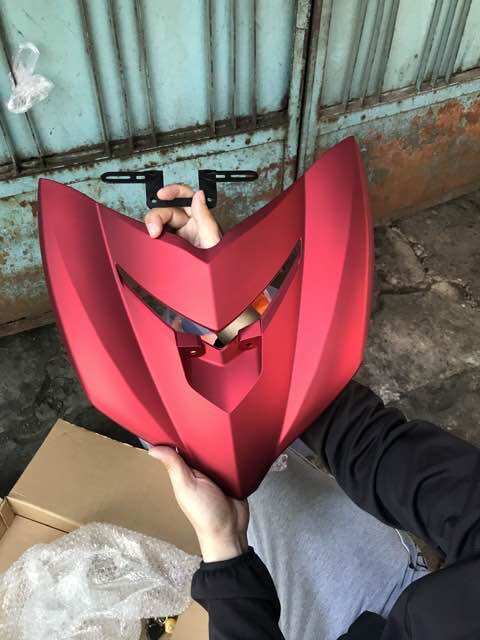 Indo Ex150 Mask (with Plate)