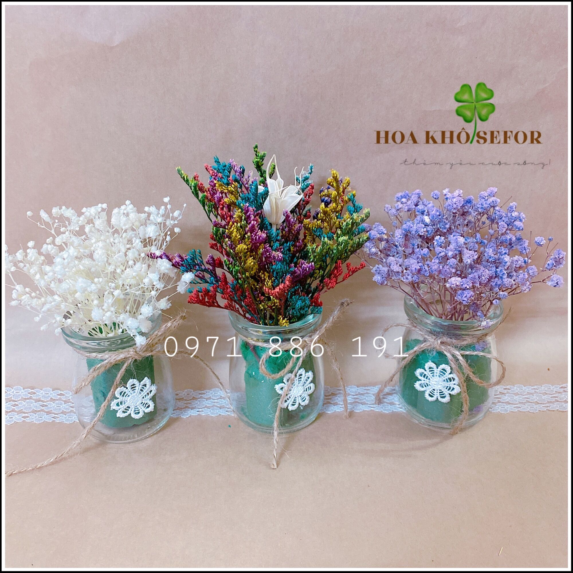 Lọ hoa mini khô hoa sao - hoa baby khô làm quà tặng, trang trí