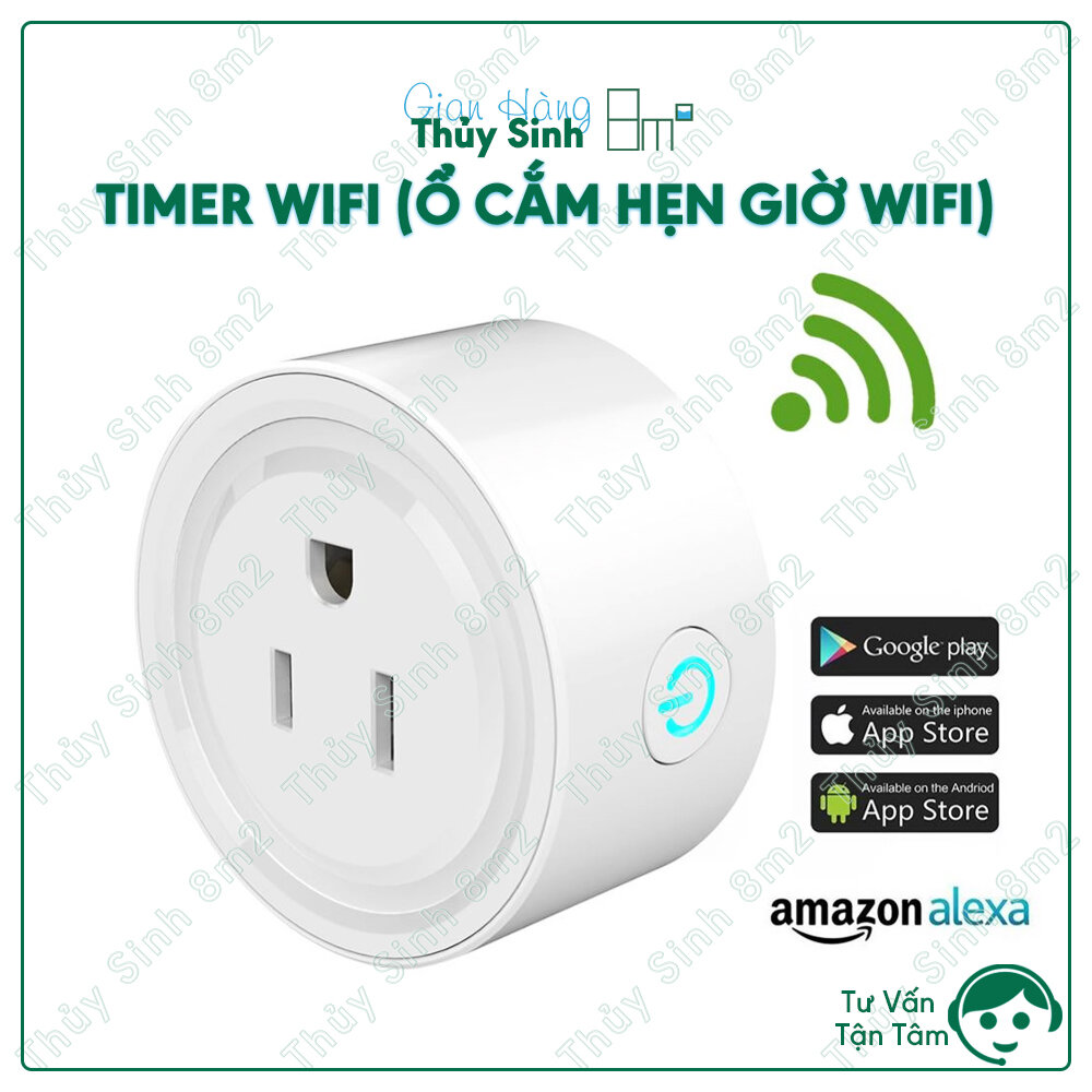 Timer wifi, ổ cắm hẹn giờ wifi | 8m2