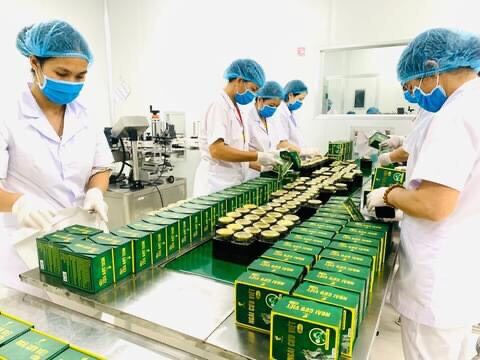 [HCM]Tinh dầu ngải cứu việt lọ 50ml/200ml