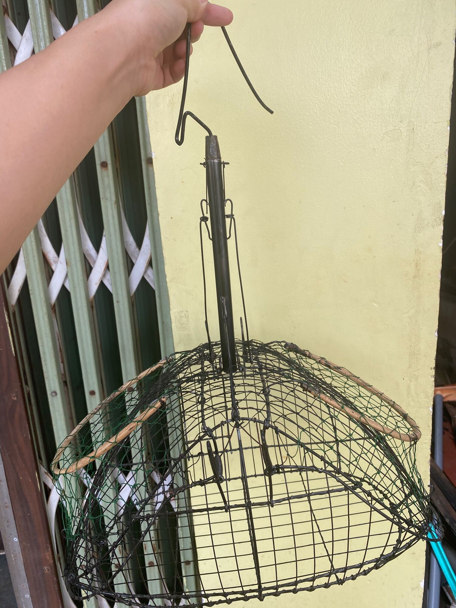 Lồng bẫy chào mào hàng đặc biệt- nhạy