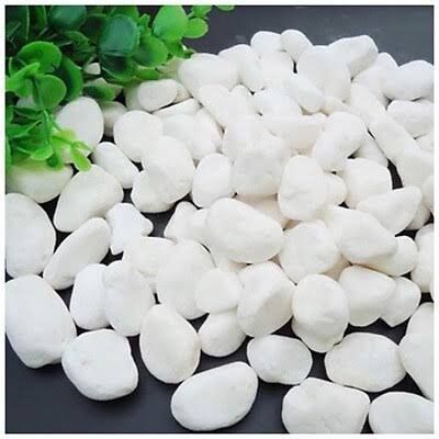 1 kg sỏi trắng trang trí hồ cá
