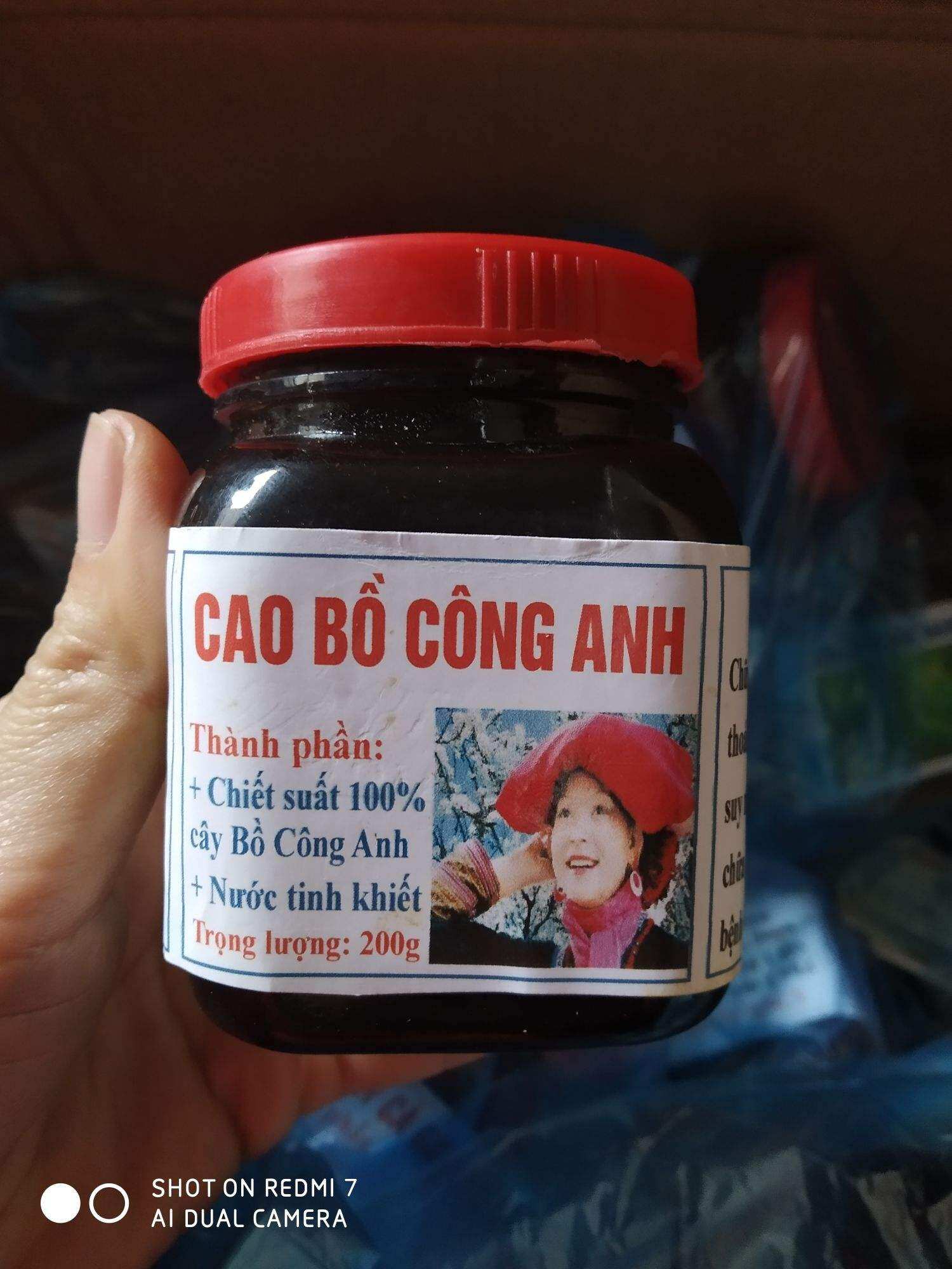 cao bồ công anh
