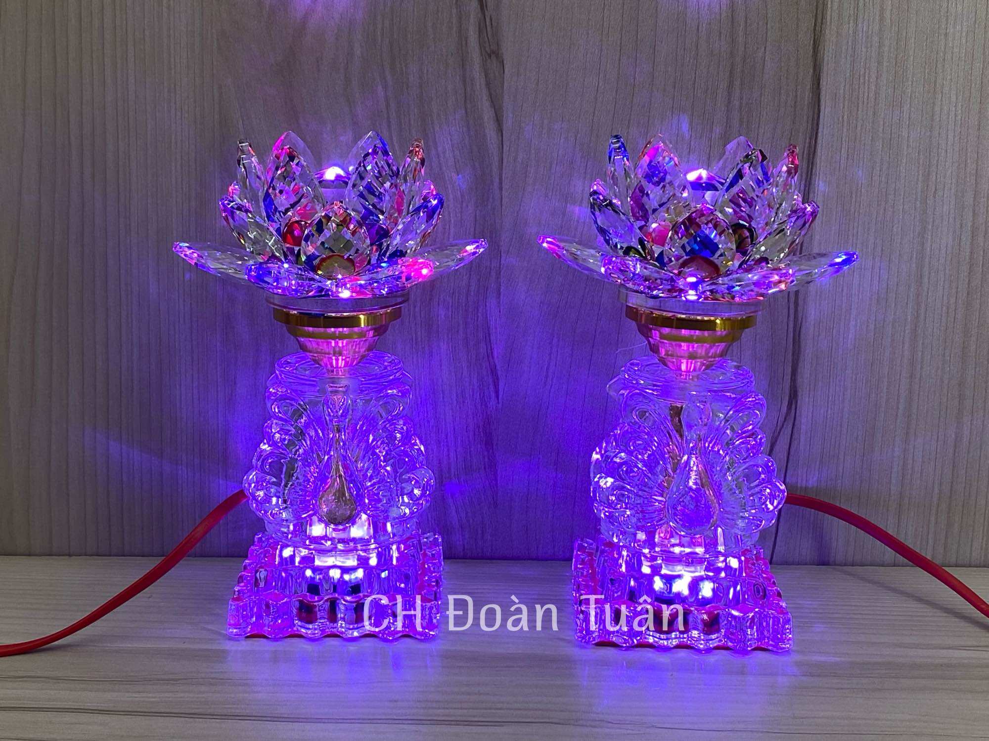 MỘT ĐÔI ĐÈN THỜ PHA LÊ HOA SEN KIỂU DÁNG THIÊN NGA