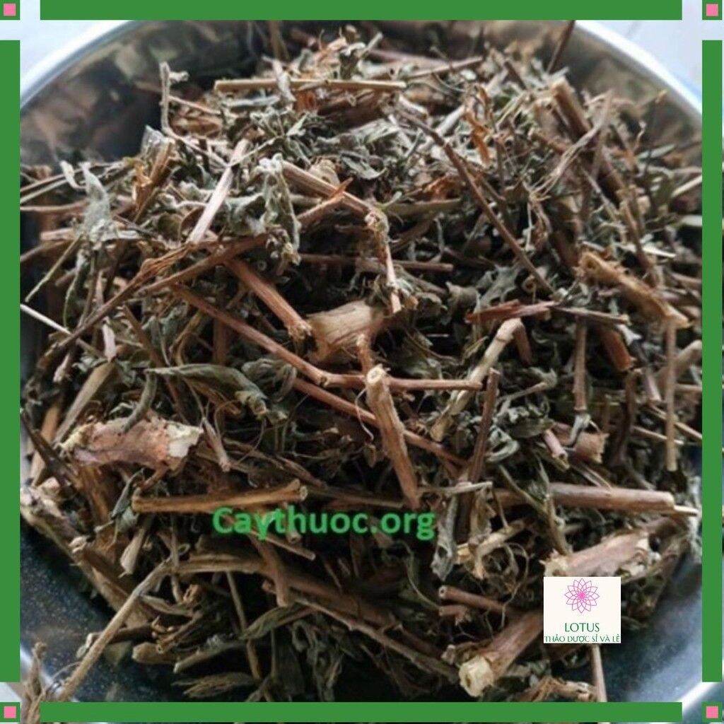 01kg cây tía tô khô