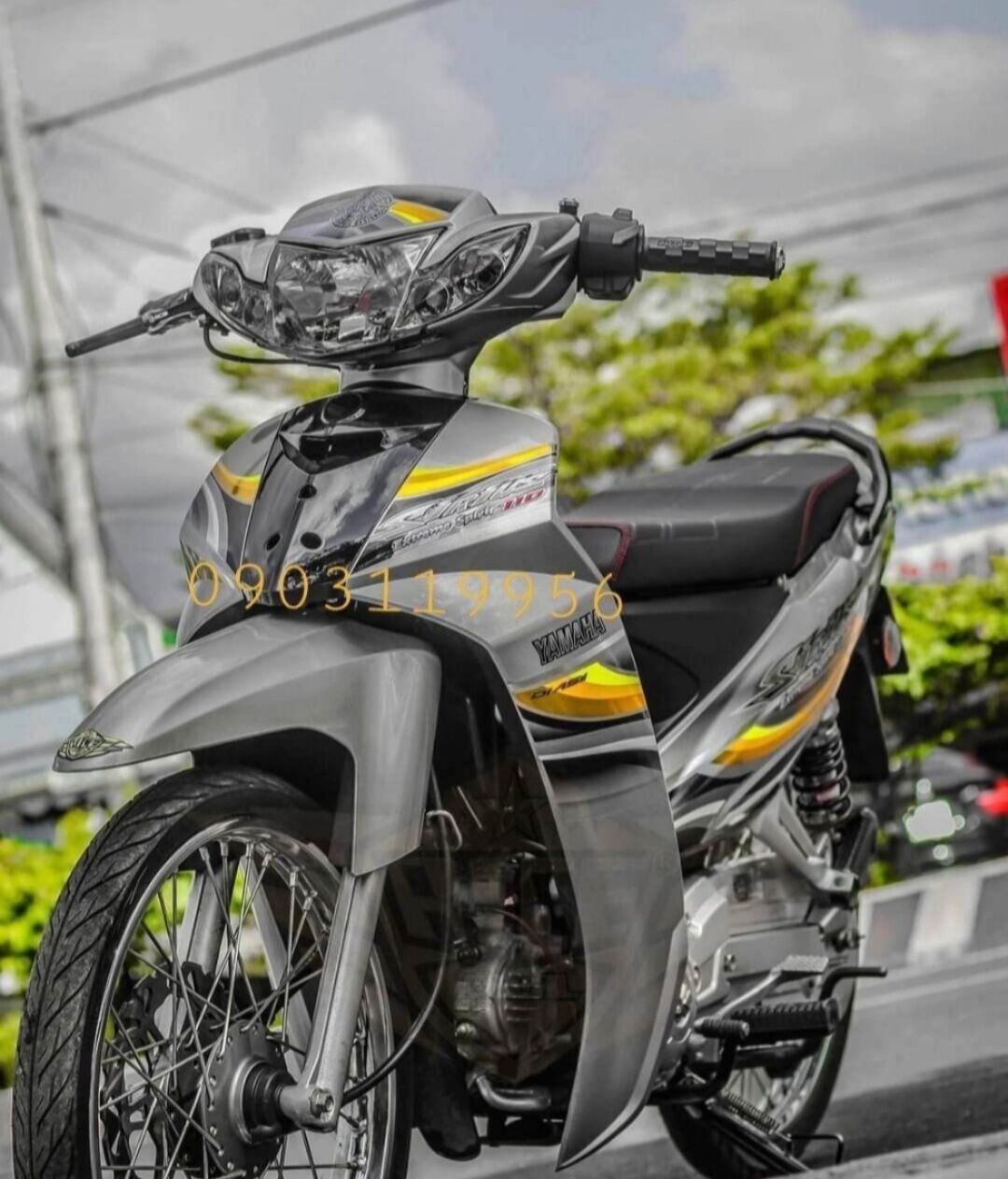 Tem rời sirius xám
