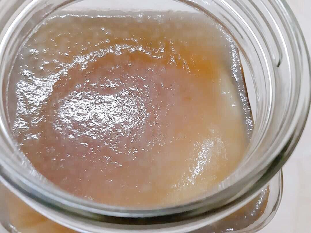 Nấm KOMBUCHA Nấm Thuỷ Sâm SCOBY KOMBUCHA
