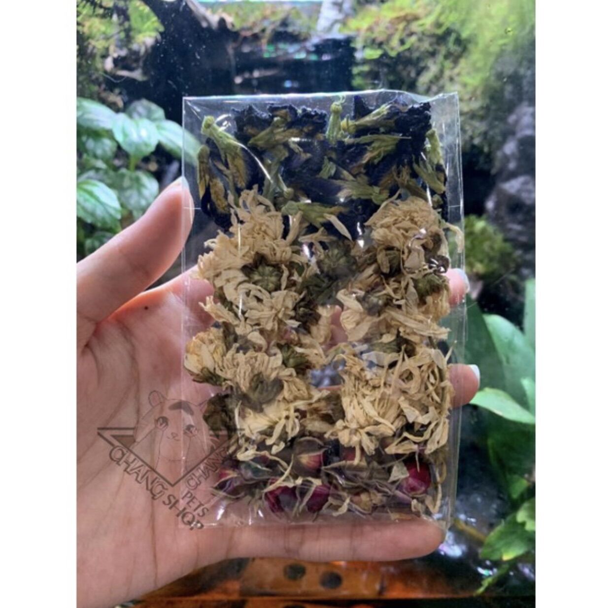 Hoa mix giải nhiệt dành cho hamster