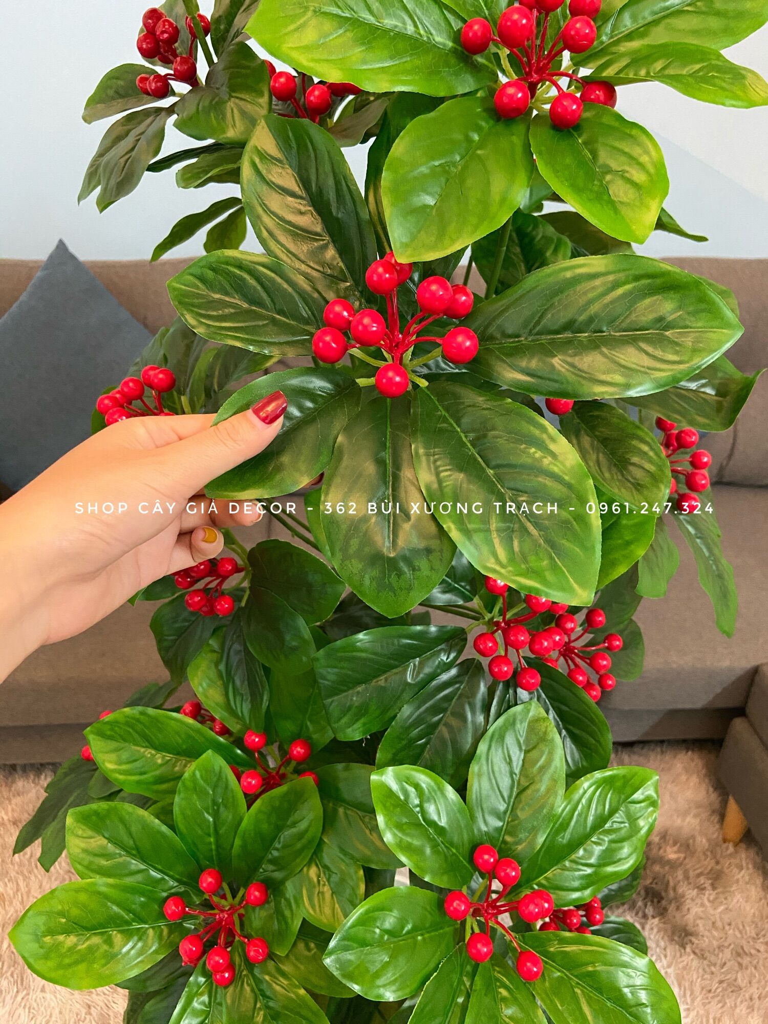 Cây kim ngân lượng m4 - cây giả decor