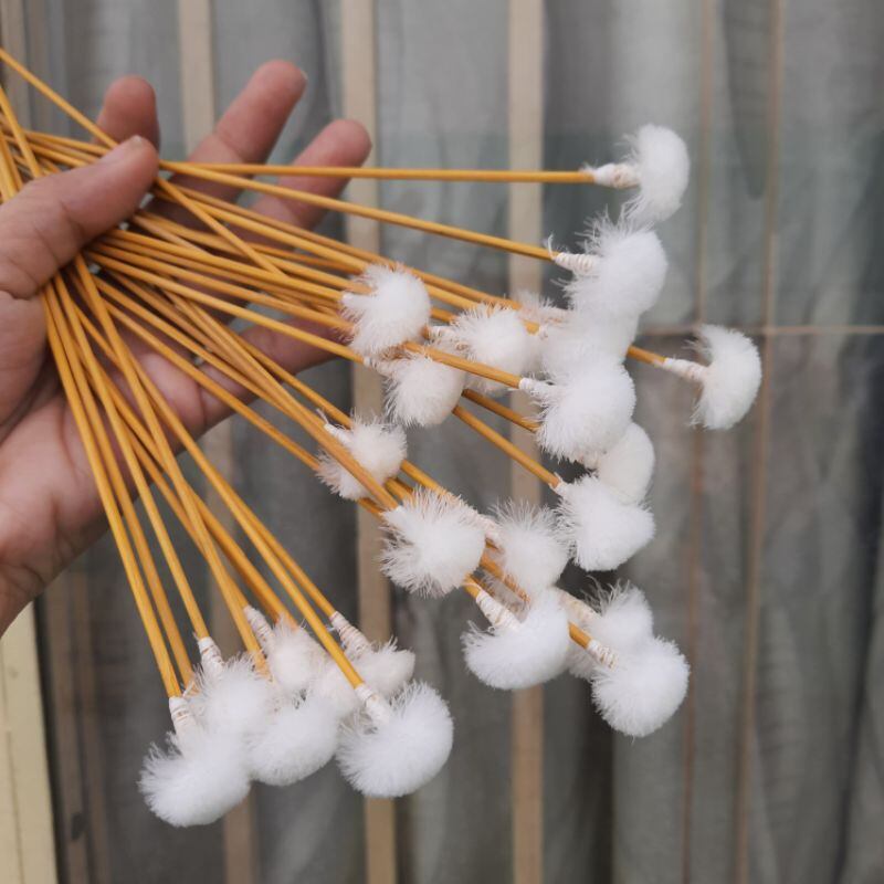 Combo 10 cây ngoáy tai lông vịt loại rẻ