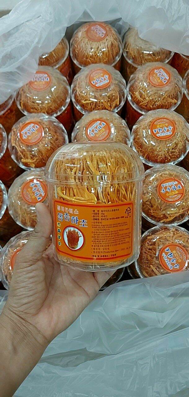 Nấm đông trùng hạ thảo hàn quốc hộp 45g