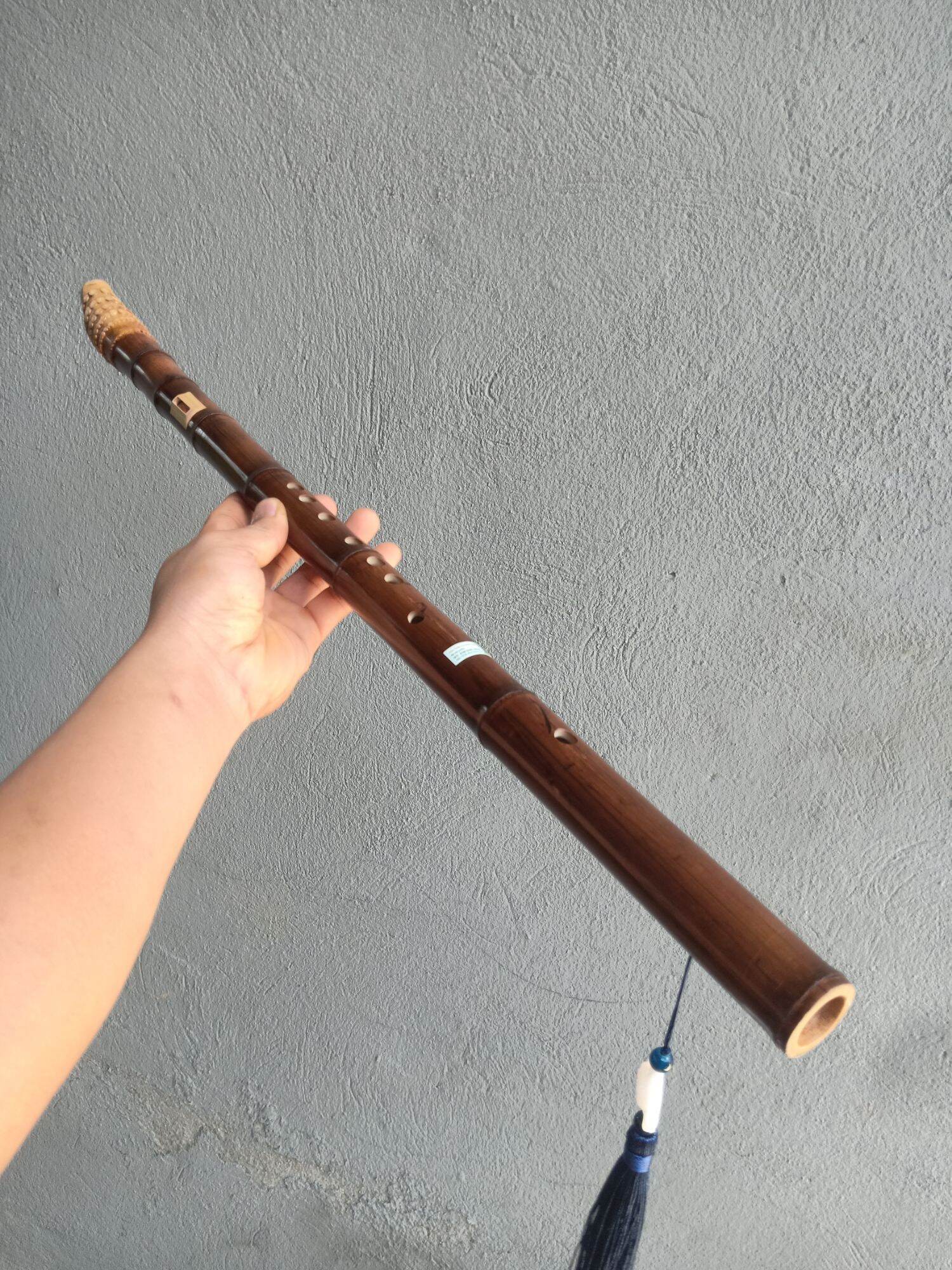 Sáo mèo nam gốc trúc