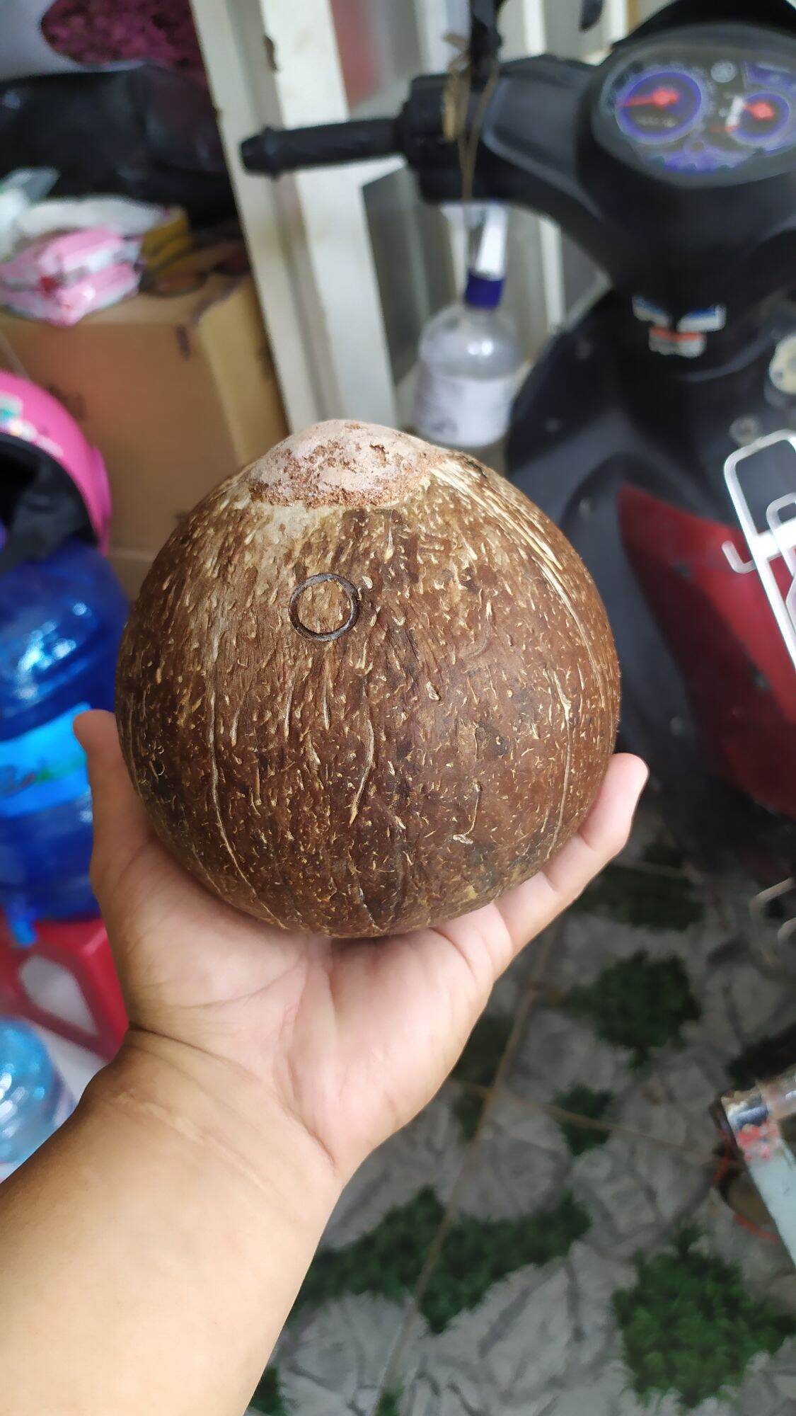 Quà tặng Xứ dừa - Trái thô lên men cực ngon-ngọt-thơm