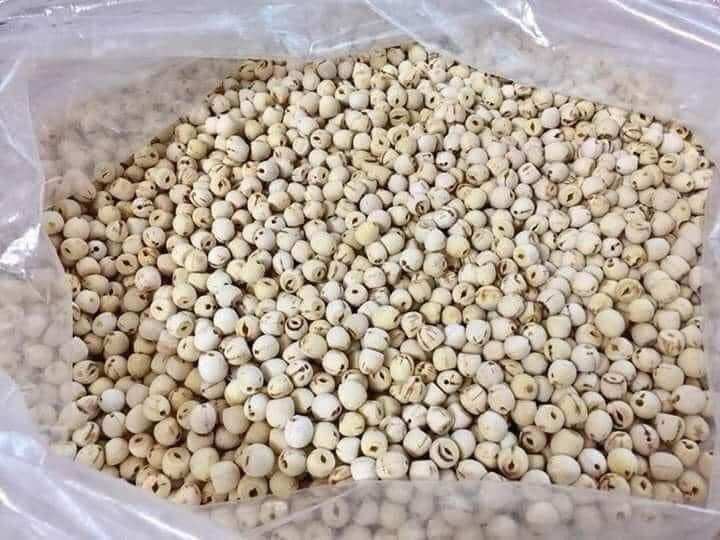 Hạt sen Huế vụ mới ngon thơm và bở