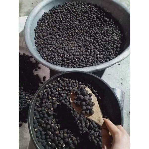 Lonely Banana Seeds 1kg