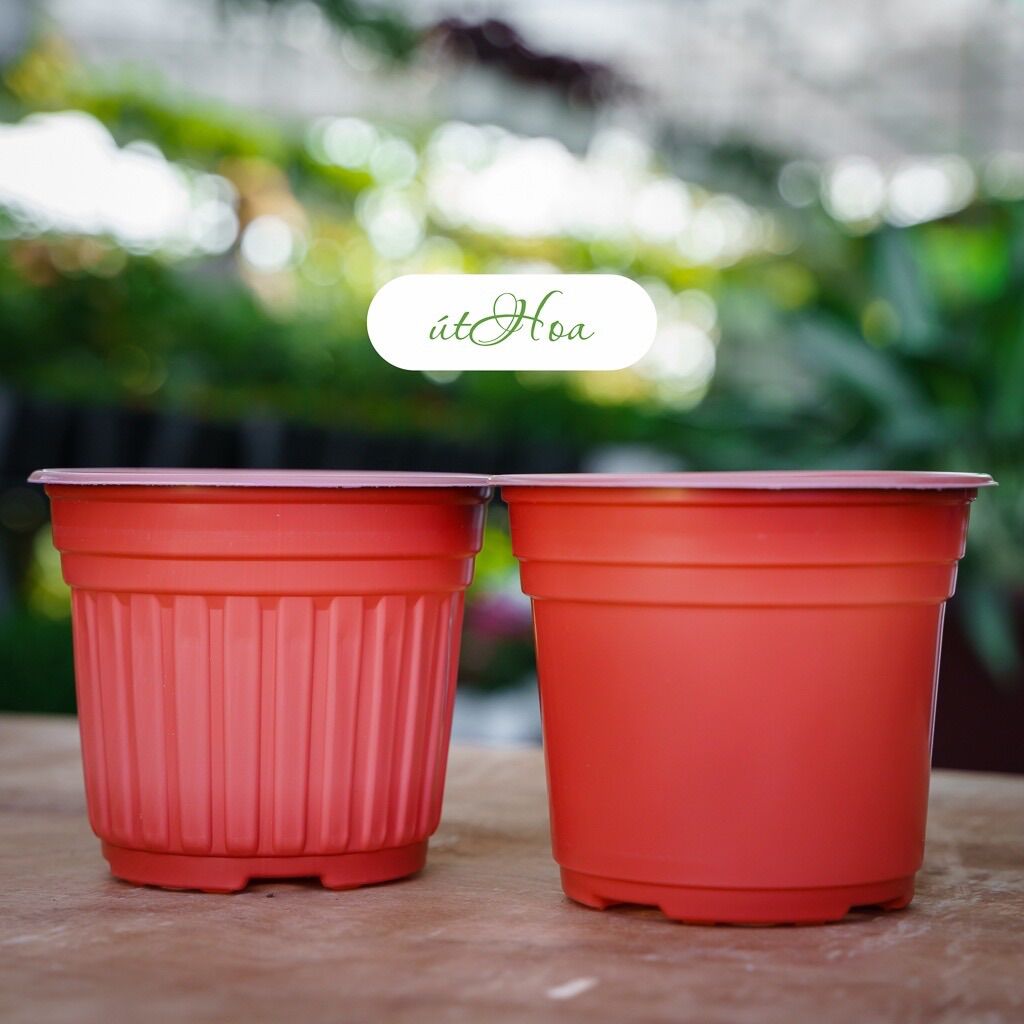 Chậu nhựa nâu N15 (15x12.5cm)vành miệng cứng