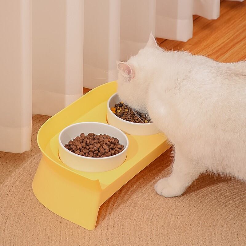 Bát Hình Mèo Cảnh Bát ĐôI Gốm Sứ Bảo Vệ Đốt Sống Cổ Chống Lật Mèo Con Giá Trị Cao Bát Cho Chó Bát Ăn Cho Mèo Ăn Cơm Uống Nước
