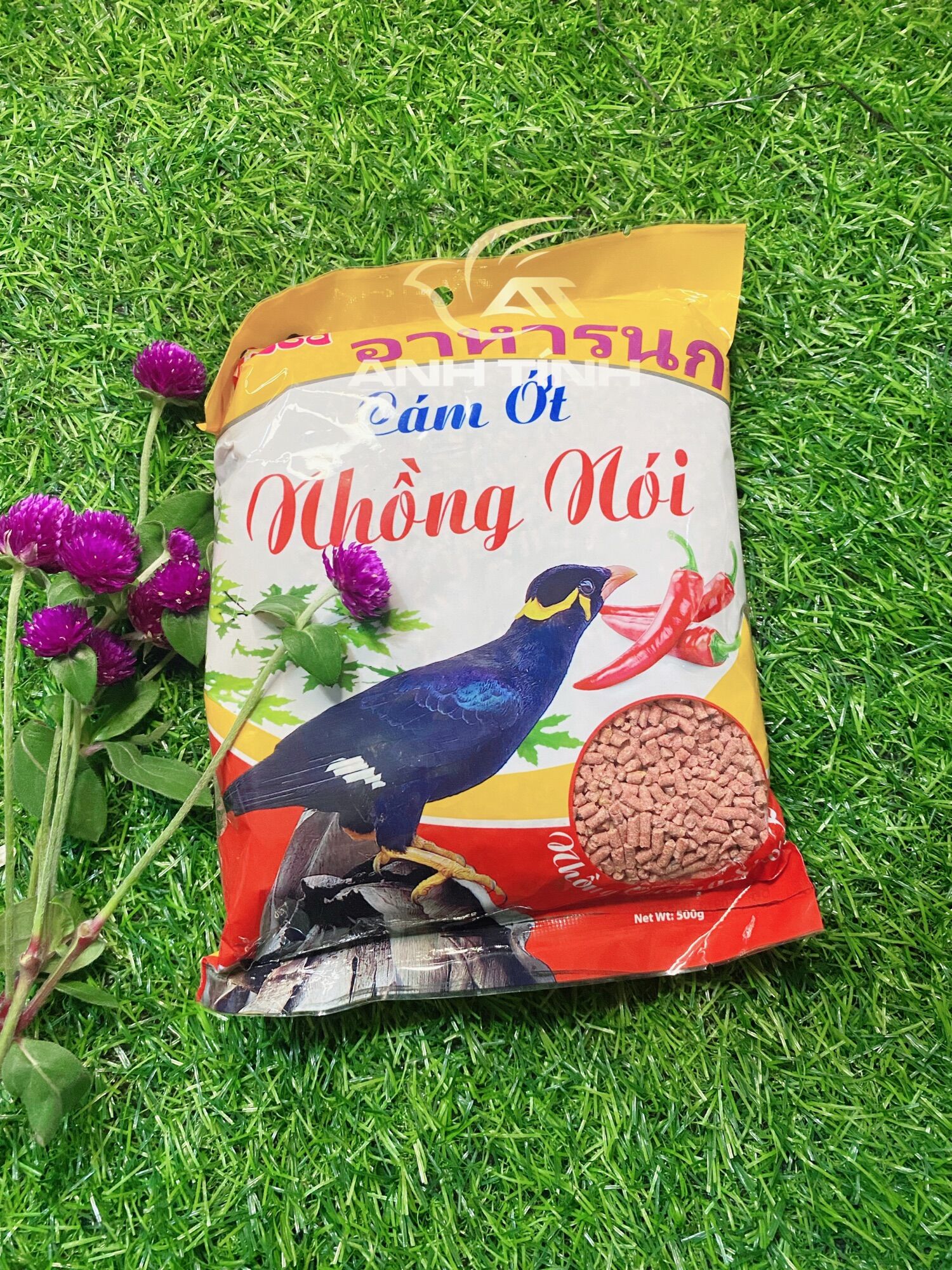 Cám ớt nhồng sáo cưỡng tập nói