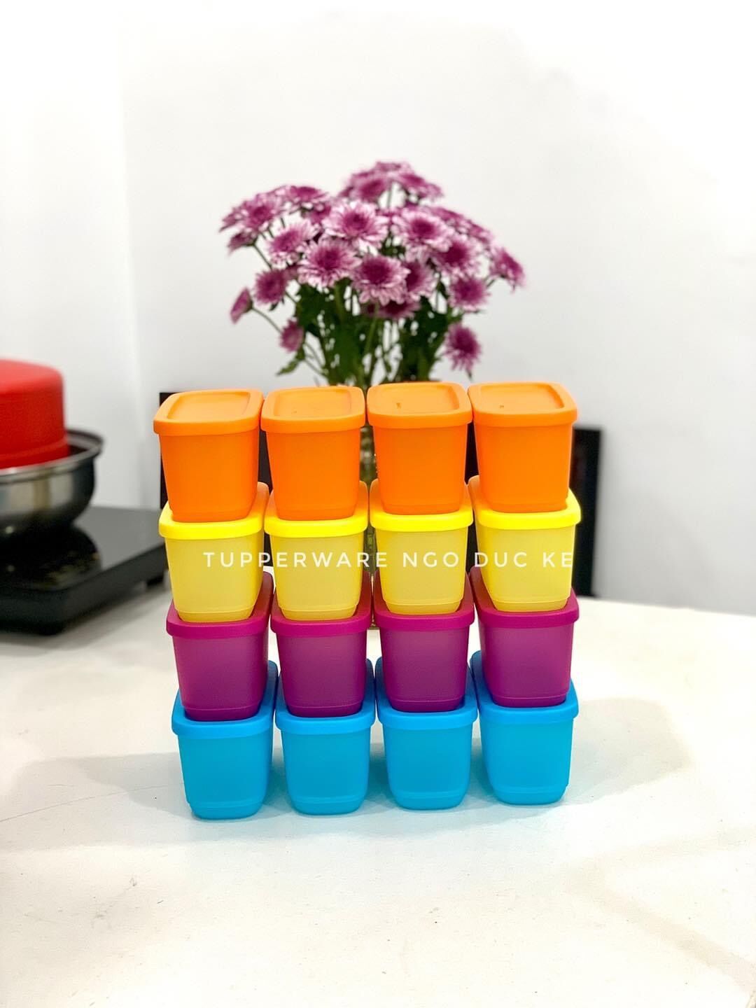 Hộp BQTP Ngăn mát và trữ khô Mini Rect 250ml ( hộp lẻ - màu ngẫu nhiên )
