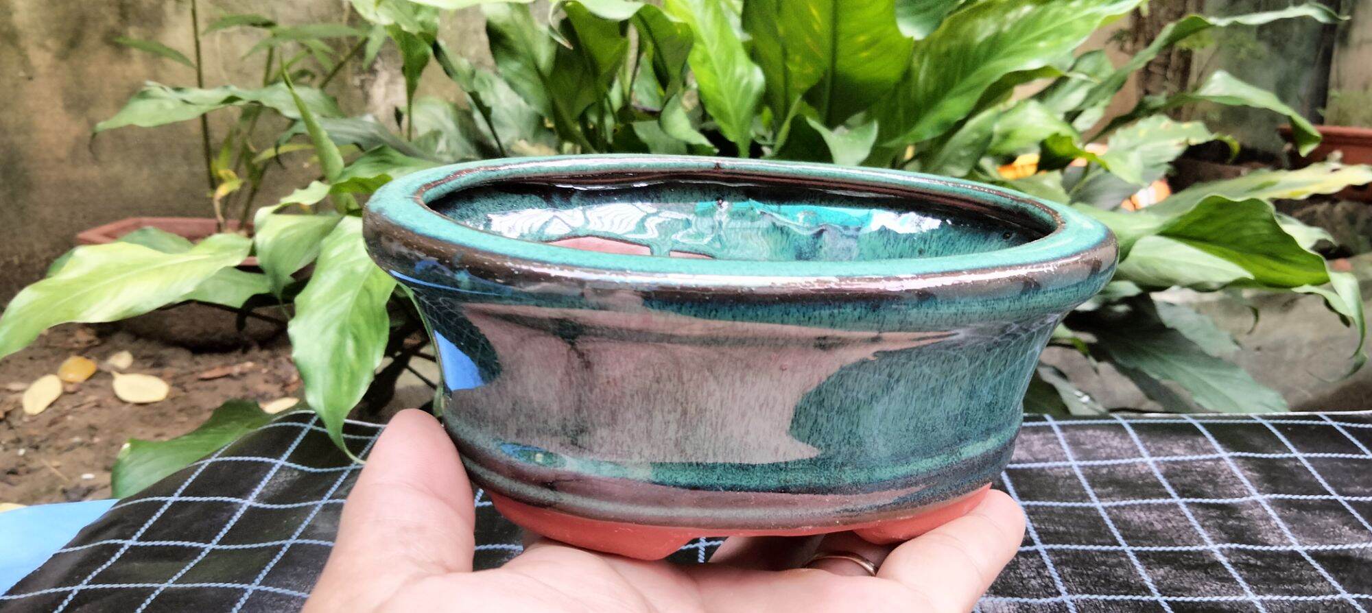 Chậu bonsai bát tràng ovan dáng cao