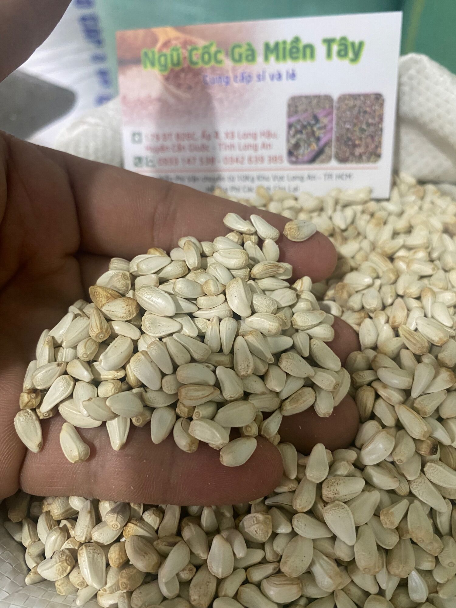 Hạt kham sấy lai ấn