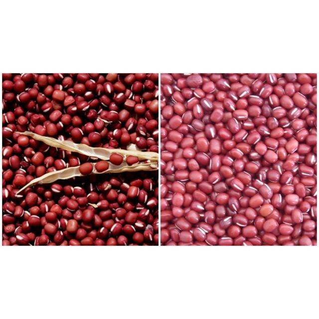 1Kg Đậu Đỏ Hạt Nhỏ Đắc Lắc