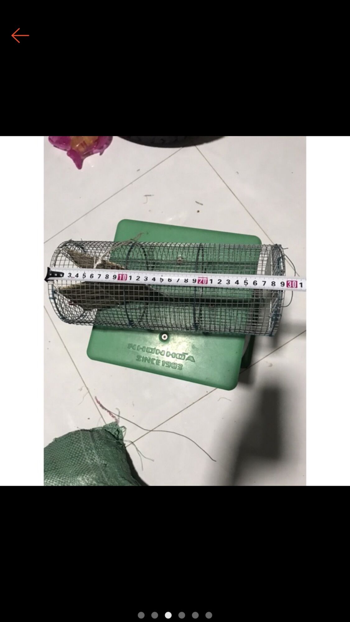 Lộp đặt ếch ngang 12 dài 29cm lỗ lưới 8li