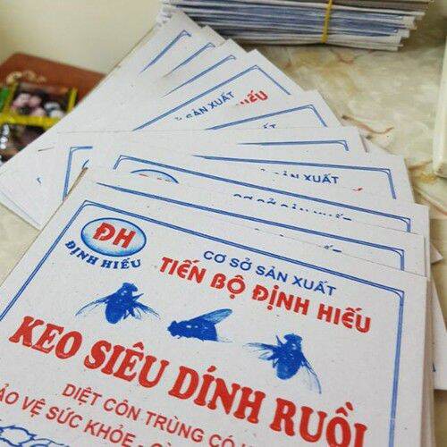 10 tấm keo dính ruồi