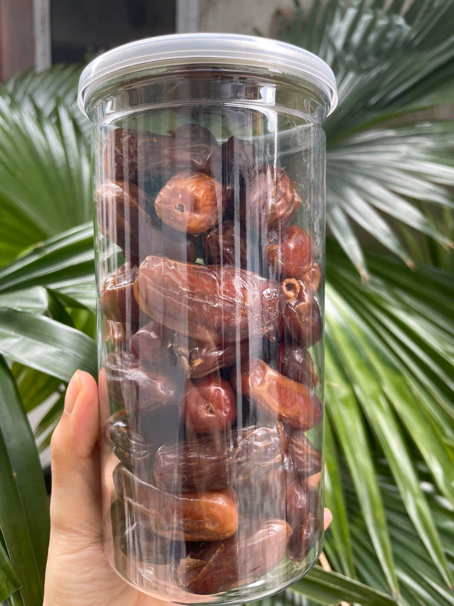 Quả chà là sấy Deglet Nour - 500g