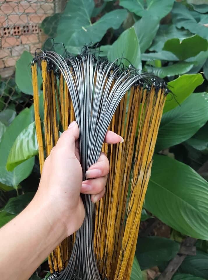 79k Bộ 10 Cung Chuyên Bẫy Cút
