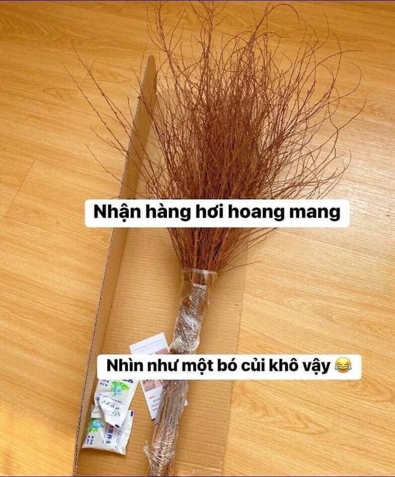 Combo 1 bó 10 cành tuyết mai đang nụ ( hoa chơi 5 tuần)