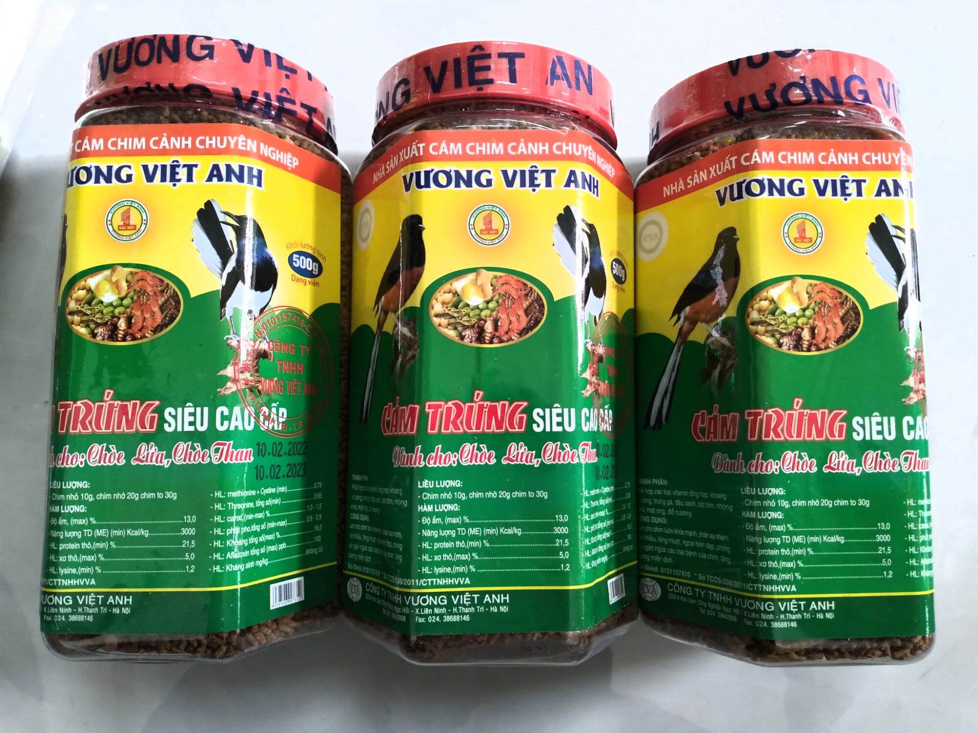 Cám dành cho chim chòe than, chòe lửa Vương Việt Anh