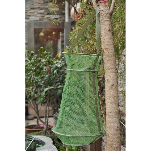 Giỏ đựng cá hình chum 3 size