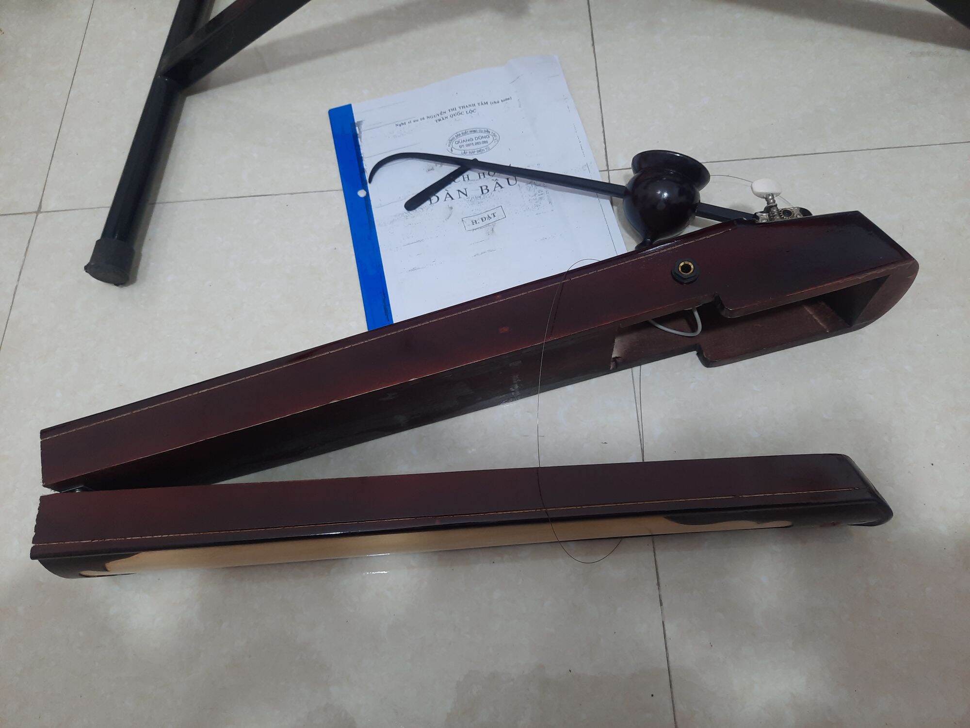 Đàn bầu điện giá rẻ chất lượng tốt
