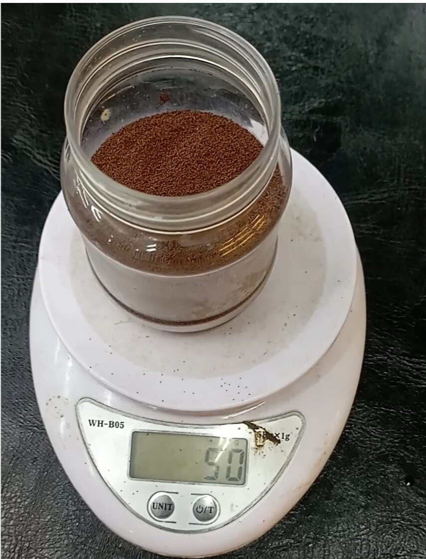 artemia lon vàng  lẻ 50g