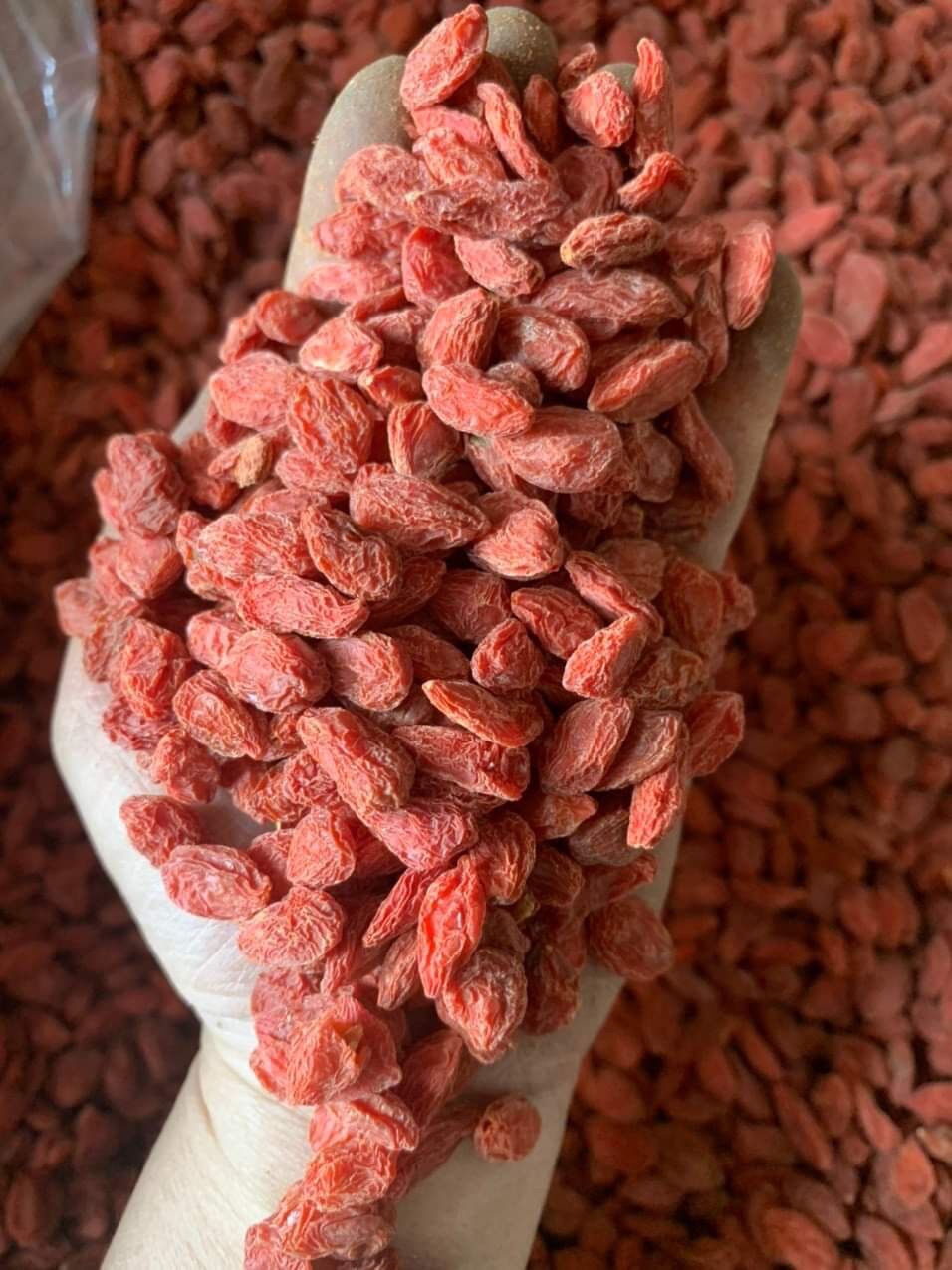 Kỷ tử Ninh Hạ Vip 100g