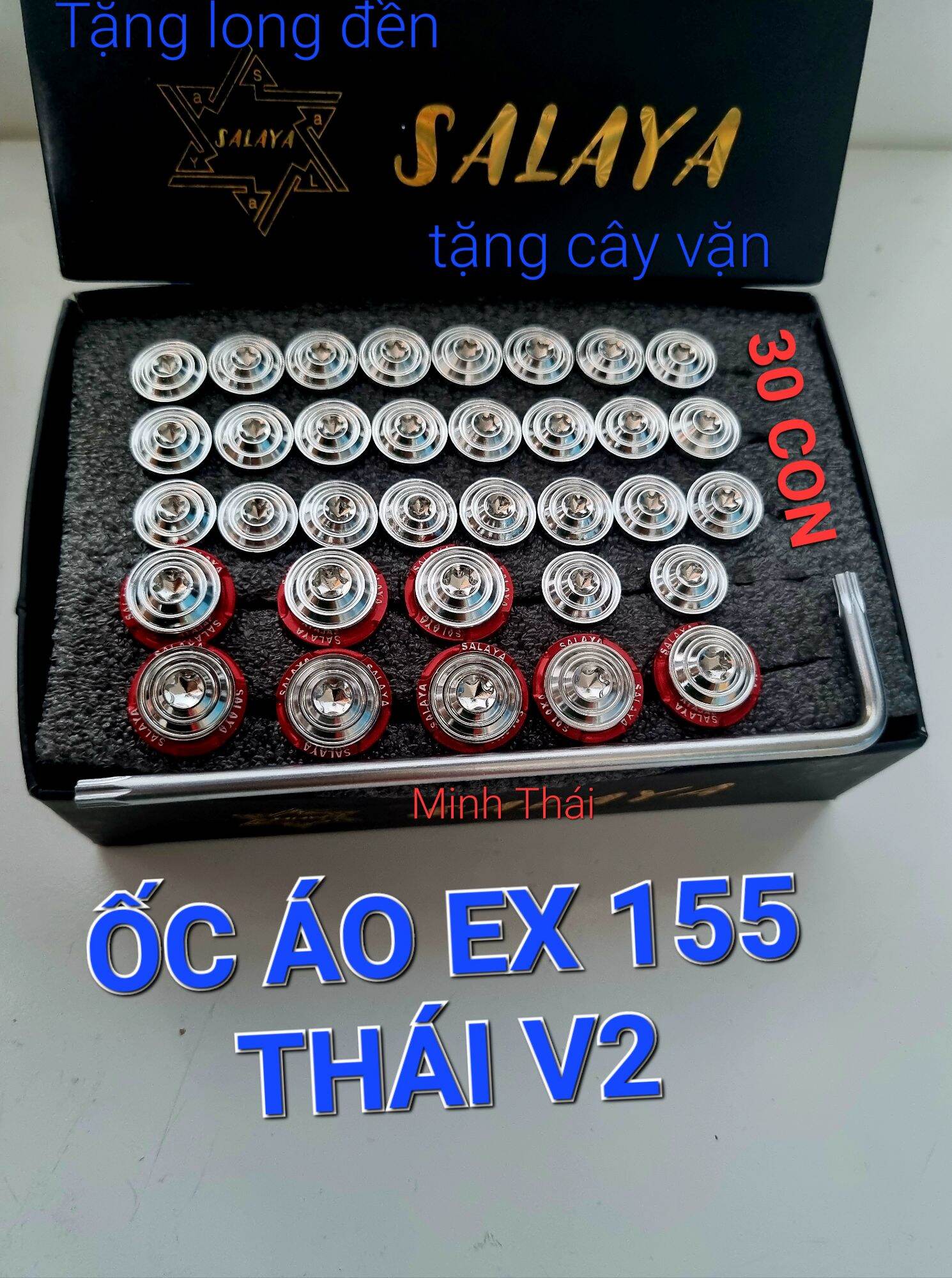 Ốc áo ex 155 thái v2 30 con