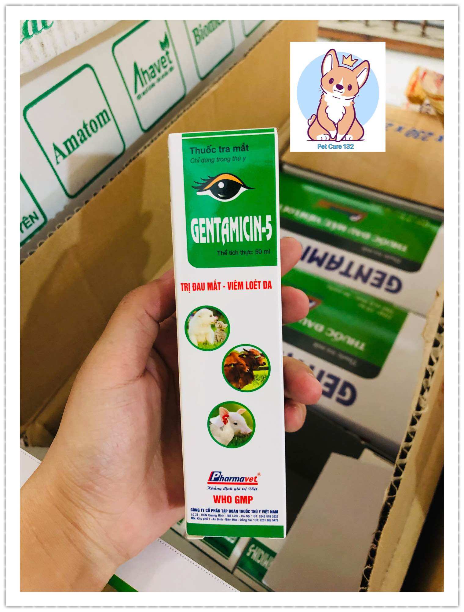 Xịt mắt cho gà Gentamicin-5 chai 50ml.