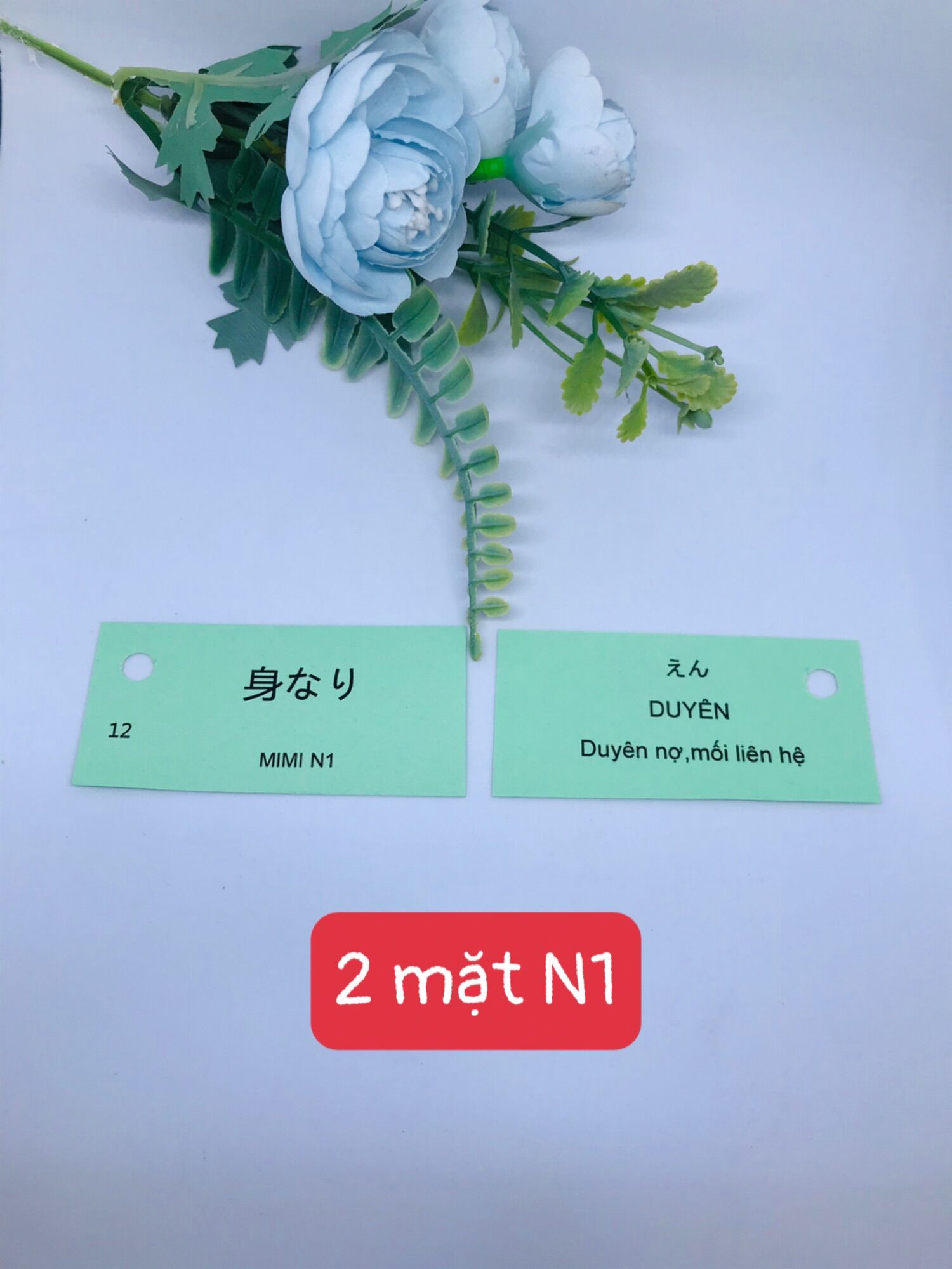 Flashcard Tiếng Nhật N1 1170 từ vưng Mimikara