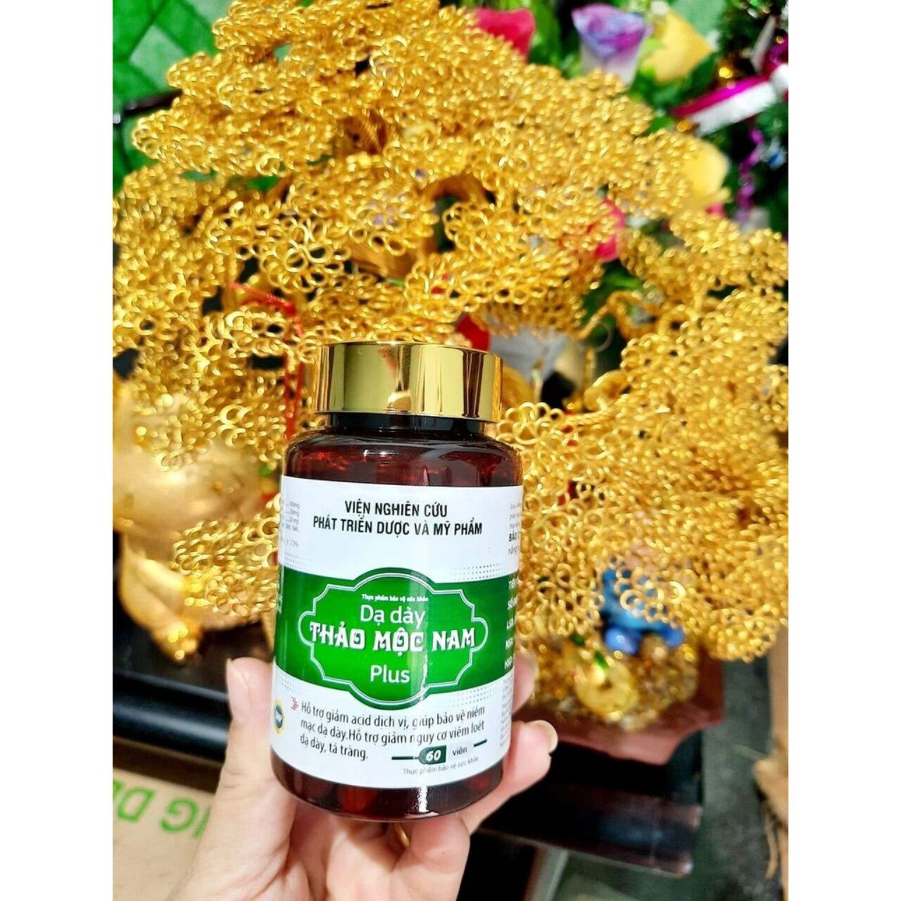 DẠ DÀY THẢO MỘC NAM