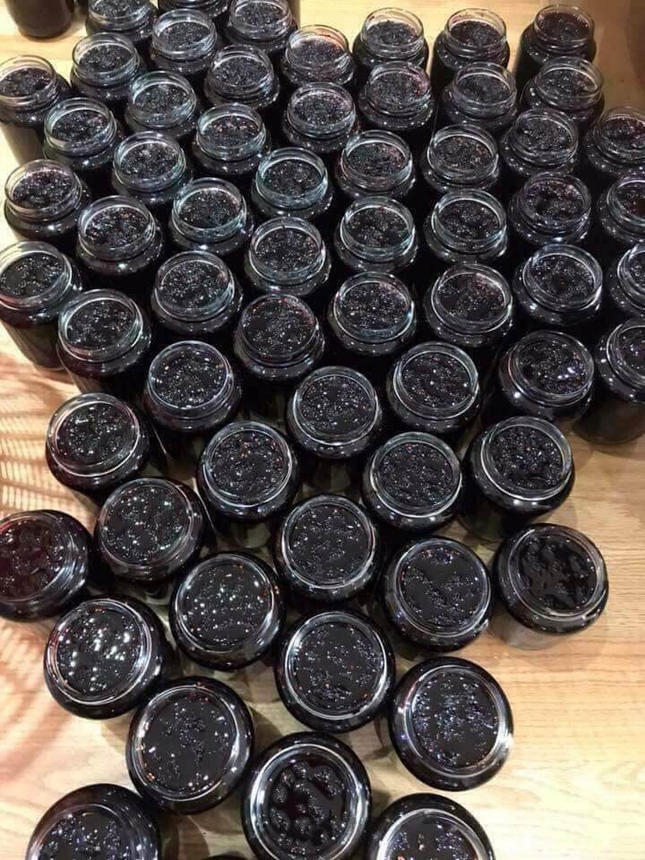 [HCM]DÂU TẰM NGÂM ĐƯỜNG LÊN MEN