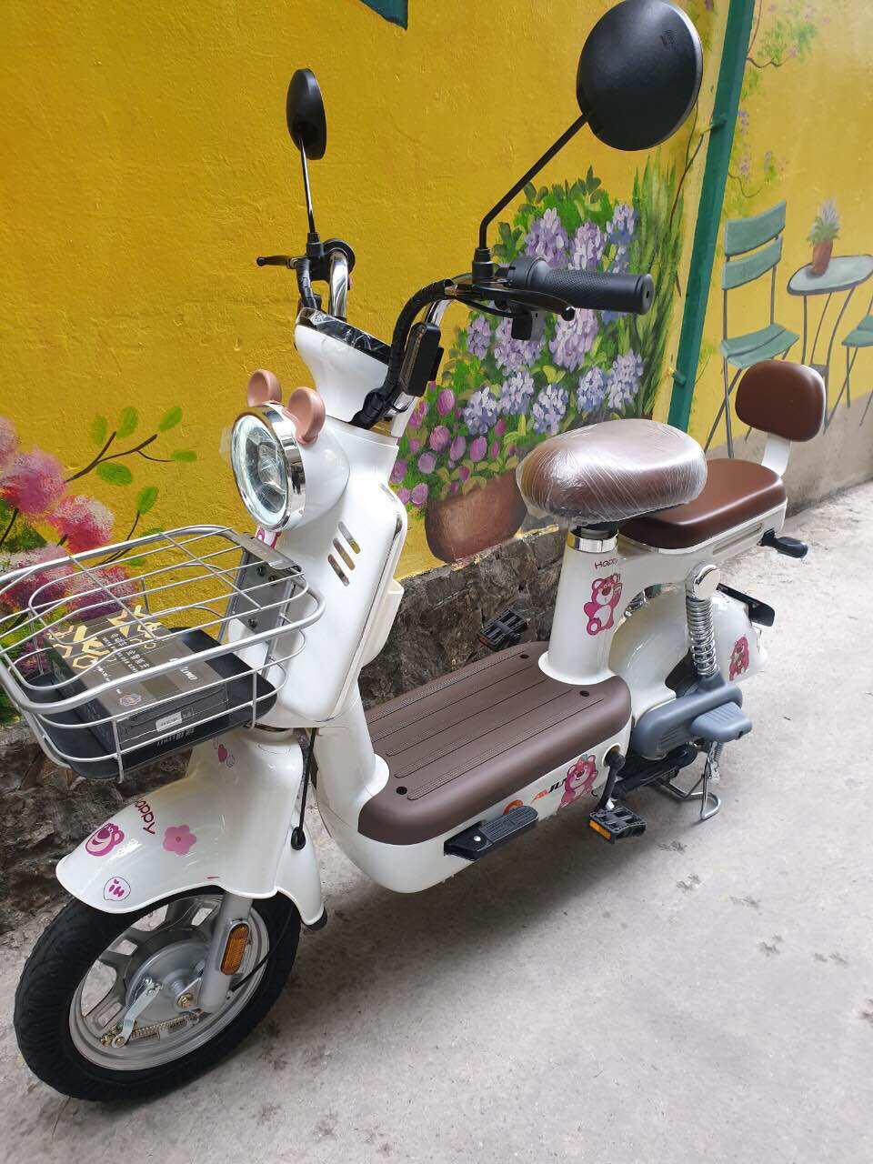 Xe Đạp Điện Mẫu Mới ( Mở Khoá Từ) sẵn hàng