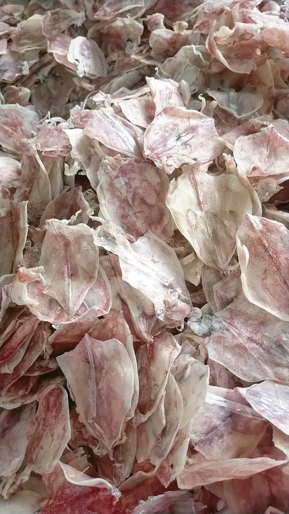 KHÔ MỰC 500gr loại 130_150c 1kg