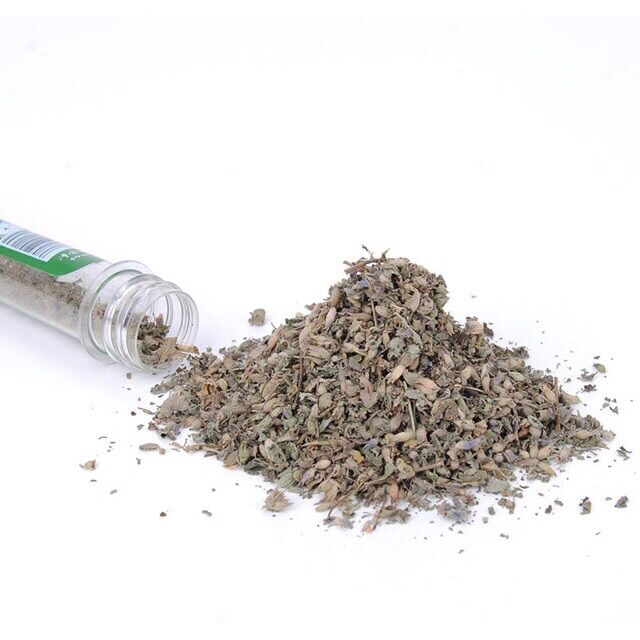 [HCM]Catnip/Catmin/ Cỏ bạc hà cho mèo