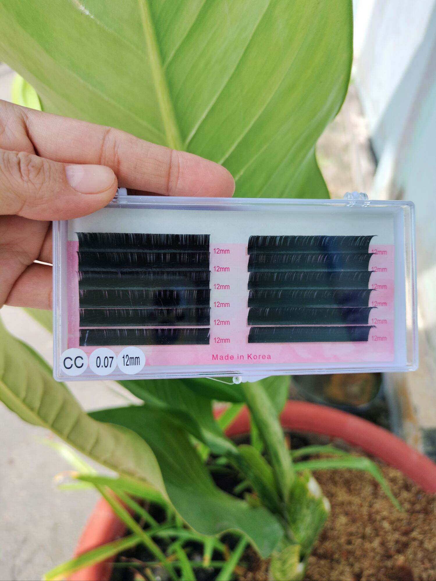 Mi khay siêu giảm giá, độ cong CC