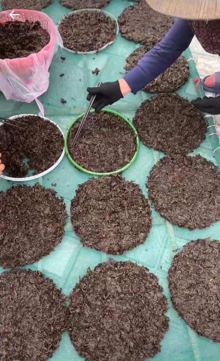 500g rong biển khô