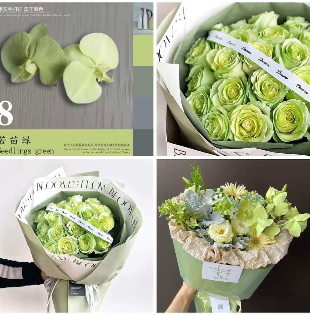 Sơn xịt hoa tươi