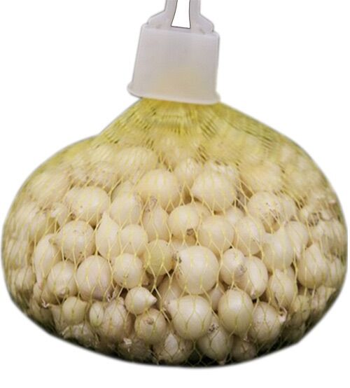 Củ nén ( hành tăm) loại nhỏ túi lưới 500g